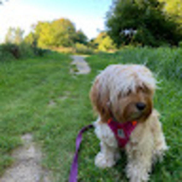 Meet your Posher, Jennifer - Picture 1 of 1